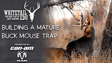 How to Get More Mature Bucks in Bow Range
