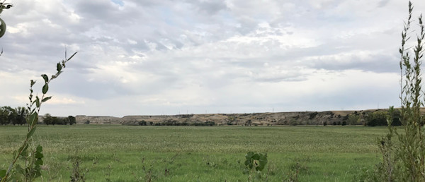 Wired to Hunt Weekly: North Dakota Struggles