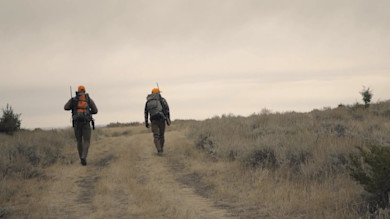 Brothers From Another Mother: Montana Pronghorn