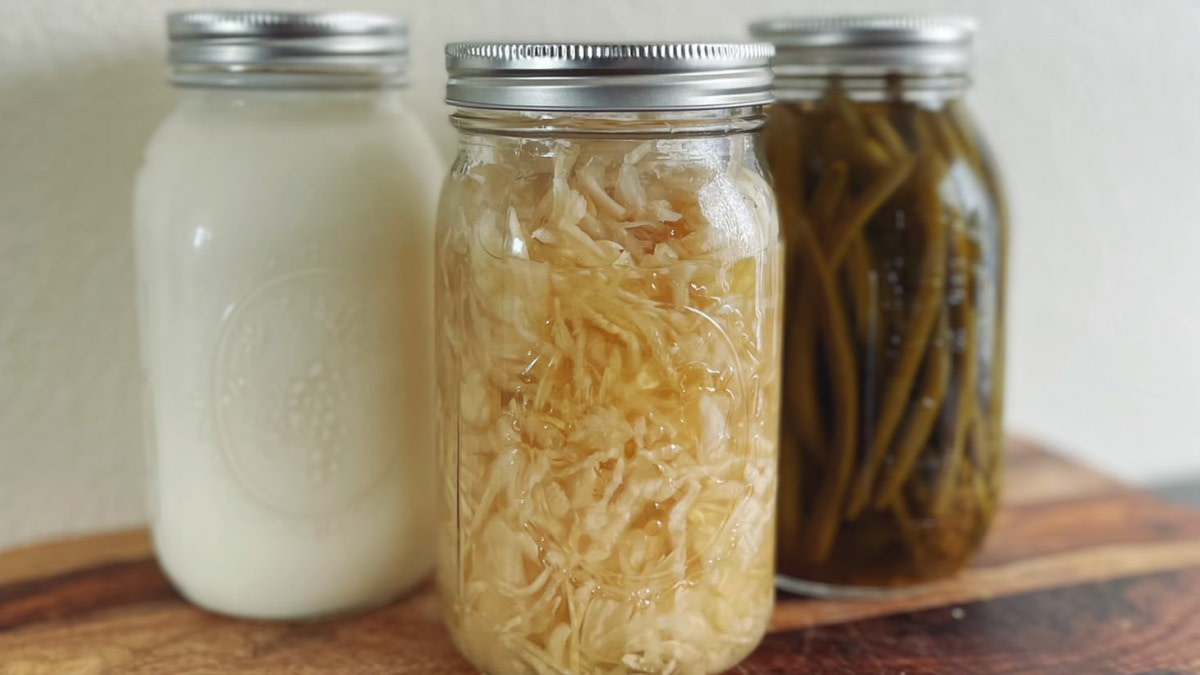 What is Lacto-Fermentation?