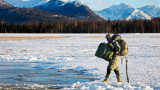 U.S. Soldier Killed by Bear While Training in Alaska