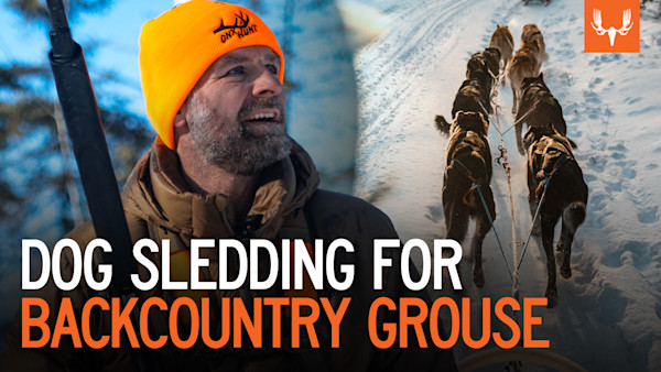 TP 302 MN Dog Sledding & Grouse 1 V3.jpg