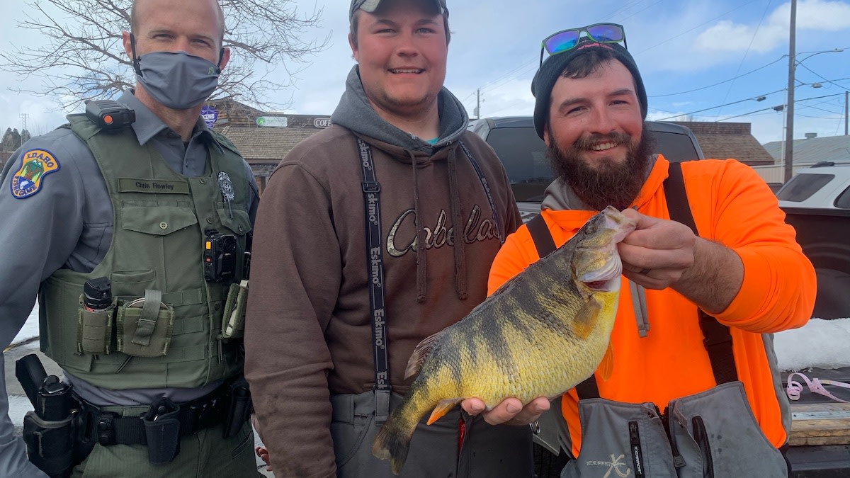 Photos: Angler Breaks Idaho Perch Record