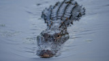 AdobeStock_803296415.jpeg