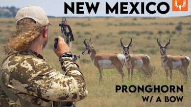 Bow Hunting New Mexico Pronghorn Antelope