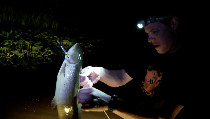 Getting Started In Bowfishing –