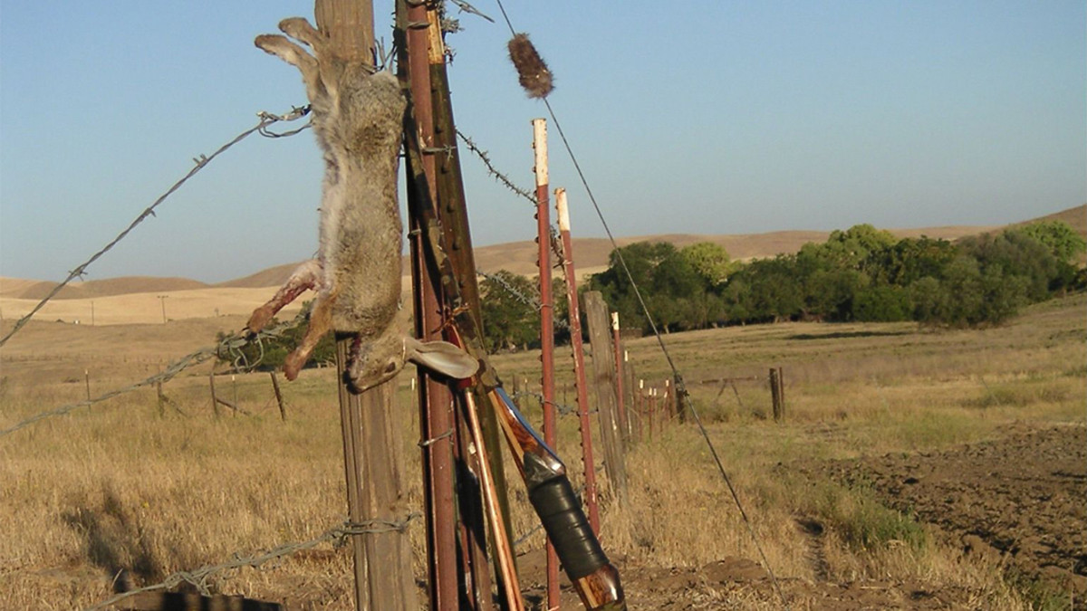 Archery Hunting for Small Game