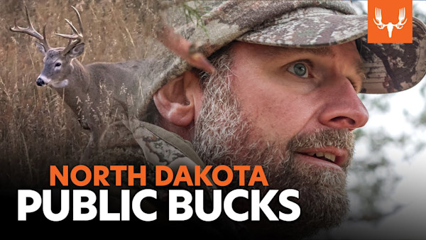 Public Badlands Bucks