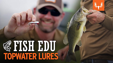 Topwater Lures