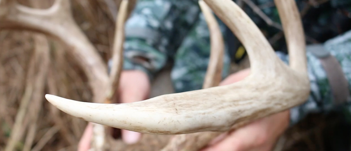 Recovering a Mature Michigan Buck – #WiredToHuntWeekly 27