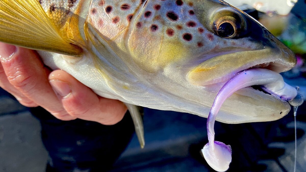 How to Choose the Right Fishing Lure Color | MeatEater Fishing