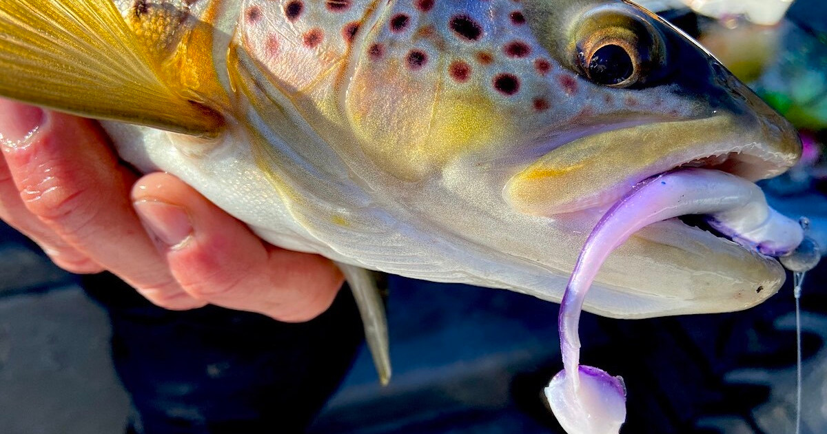 fish with lure Robotic Swimming Fishing How to Choose the Right