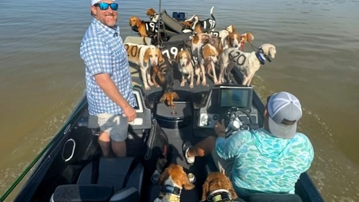 38 Hunting Dogs Rescued from Mississippi Lake