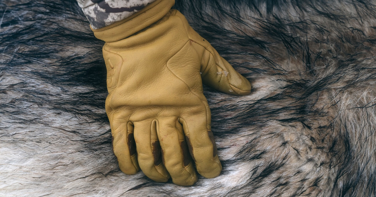 Colorado Advances Petition to Ban Fur Sales Colorado Advances Petition to Ban Fur Sales