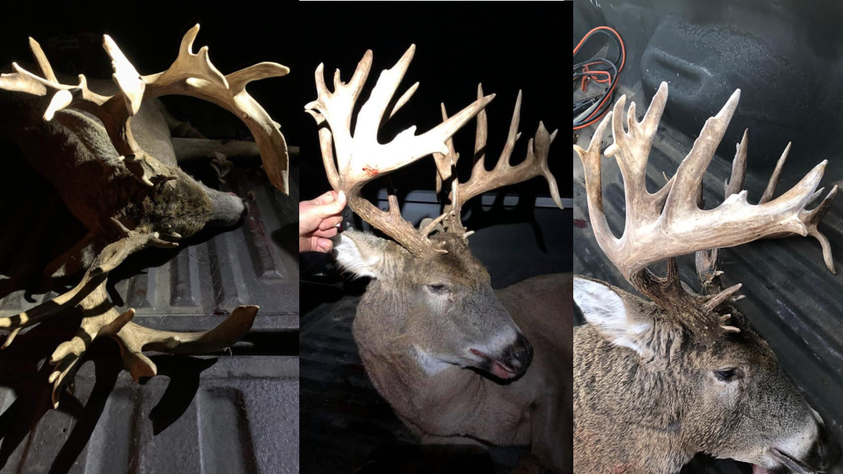 3 Men Cited for Poaching 34 Point Buck MeatEater Hunting