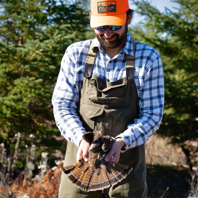 how to hunt ruffed grouse