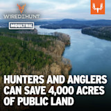 Aerial river and forest; headline 'HUNTERS AND ANGLERS CAN SAVE 4,000 ACRES OF PUBLIC LAND'
