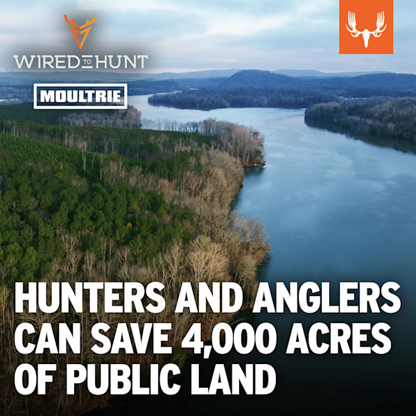 Aerial river and forest; headline 'HUNTERS AND ANGLERS CAN SAVE 4,000 ACRES OF PUBLIC LAND'