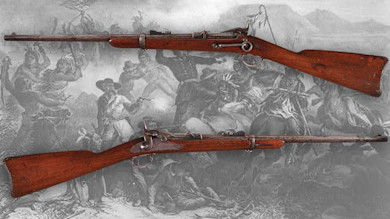 Springfield-1873-full-size .jpg