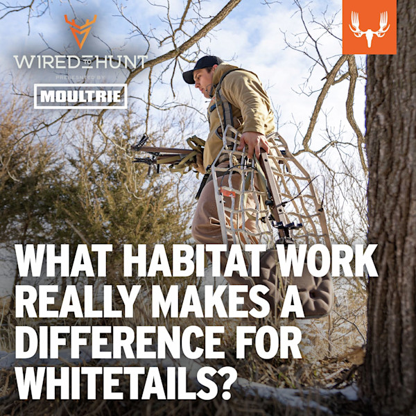 WHAT HABITAT WORK REALLY MAKES A DIFFERENCE FOR WHITETAILS? - hunter carrying climbing treestand