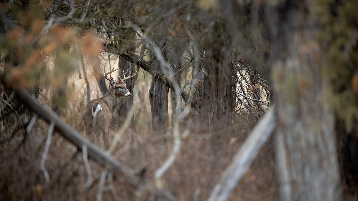 Hunt the Landscape, Not the Deer