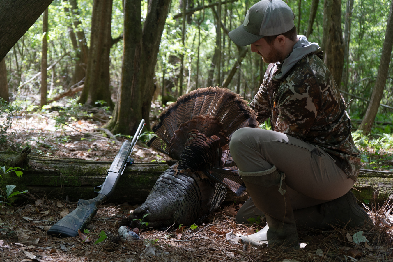 Turkey w A300