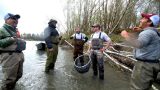 The Best Fishing Waders