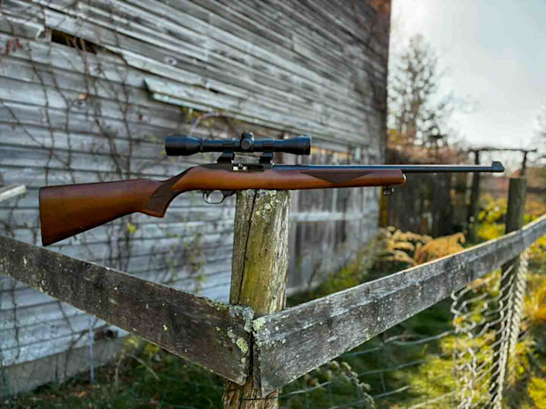 ruger-10-22-6-3.jpg
