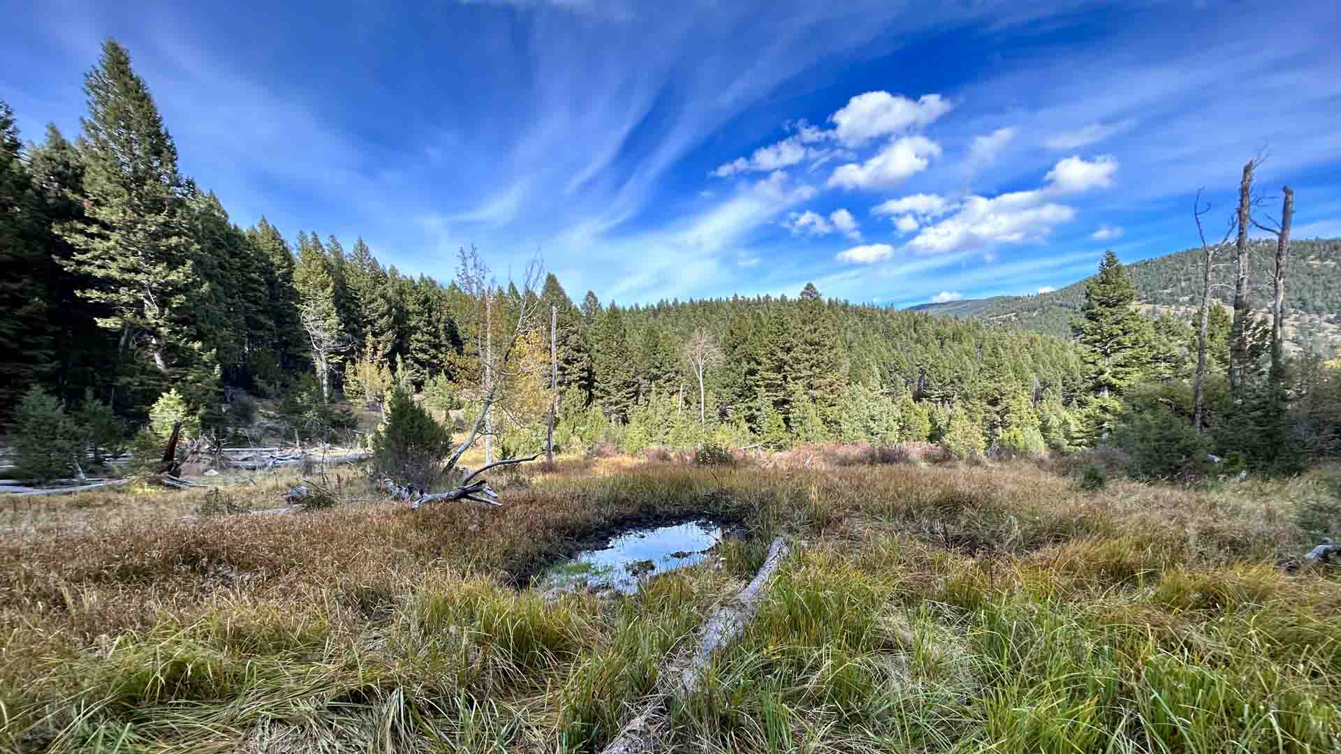 7 Waterhole