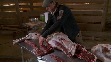Man butchering a whole deer on stainless table inside wooden barn