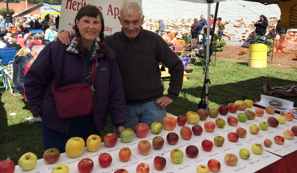 hunting historic apples