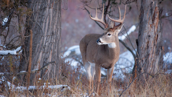 Rut Fresh Report: 12/2/21