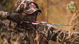 241107_TONY_PETERSON_IA_WHITETAIL-91.jpg