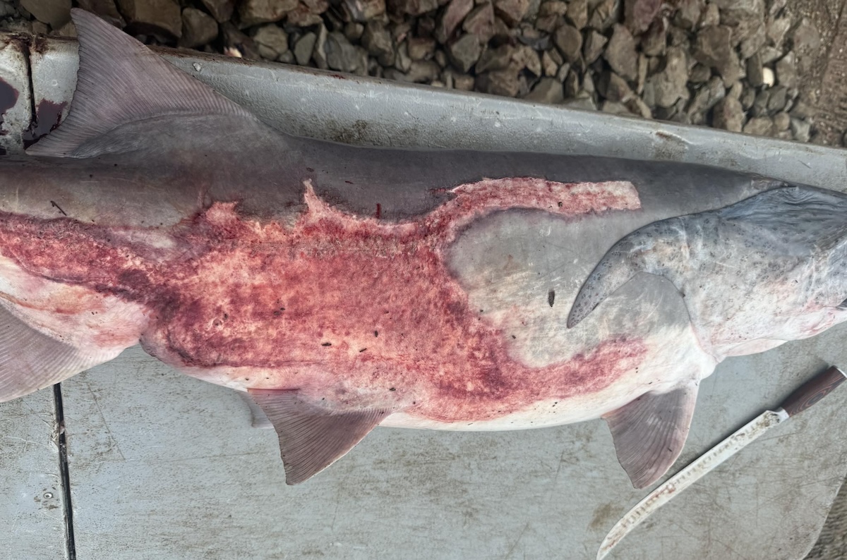 670916162 1239347804950961 3013581393229962496 n