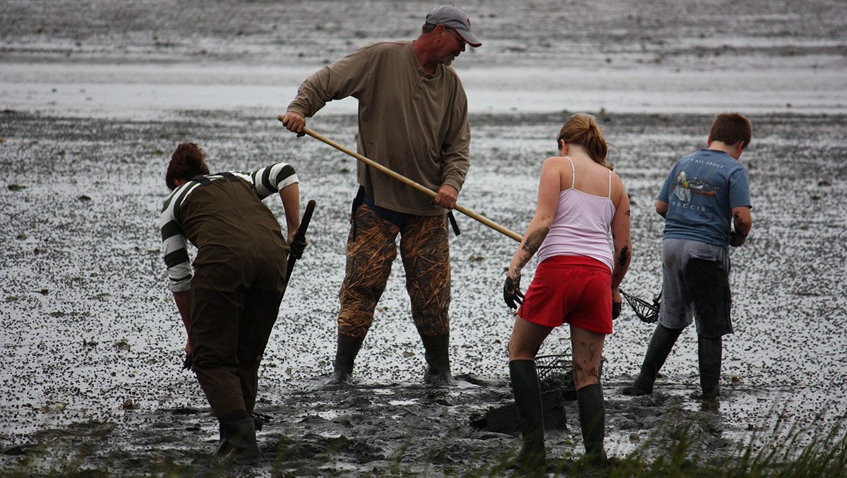 Clam clearance boot offer