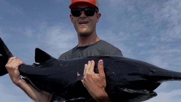 Watch: Oklahoma Guide Catches Rare Melanistic Paddlefish