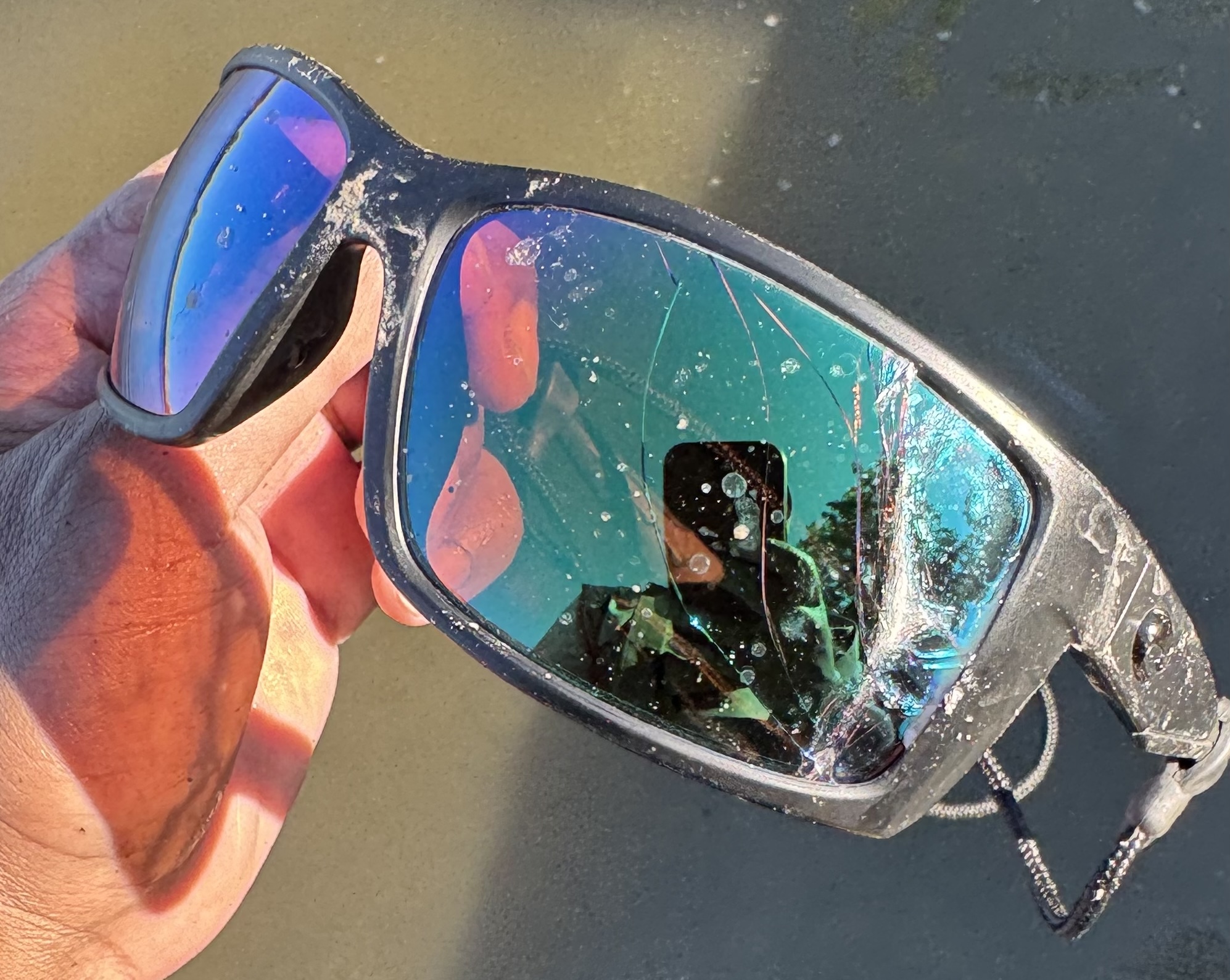 BIGGEST ALG Costa Damage