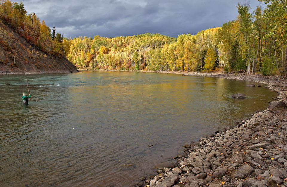 Examining Richard Waddington's Book “Salmon Fishing – A New