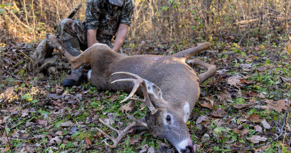 How Many Ft Lbs to Kill a Deer