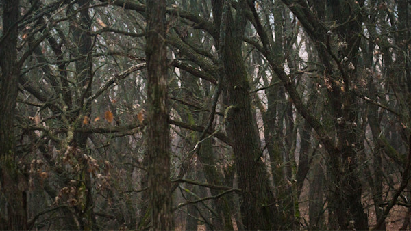 When Hunters Find Dead People