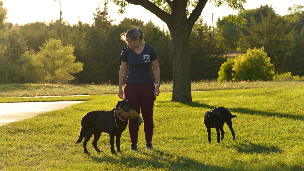 FamilyDogs2