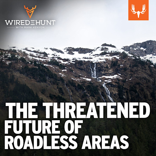 Ep. 930: The History and Threatened Future of Our Nation's Last Roadless Areas with Chris Wood