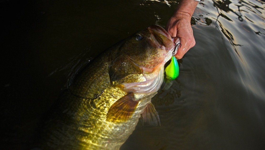 In The Heat Of The Night - Bass Fishing Videos and Tips