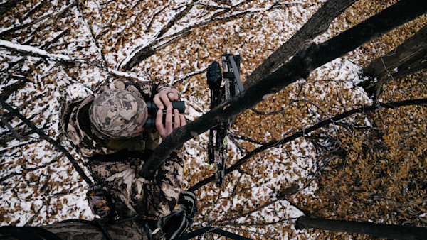 How to Improve Your Tree Saddle Location