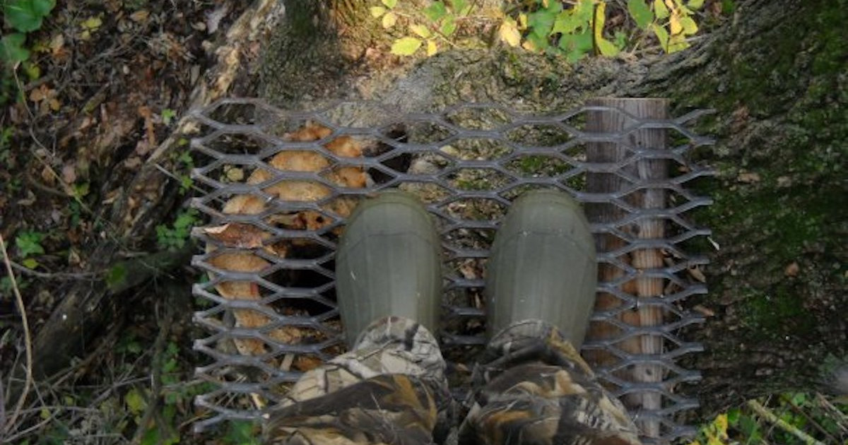 Questionable Tree Stand Tree Stand Setups for Imperfect Trees | MeatEater Wired to Hunt