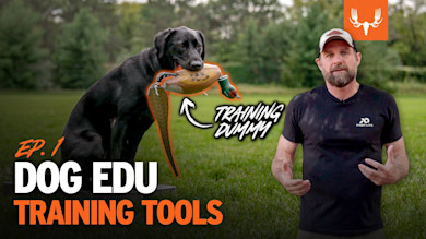Training Tools