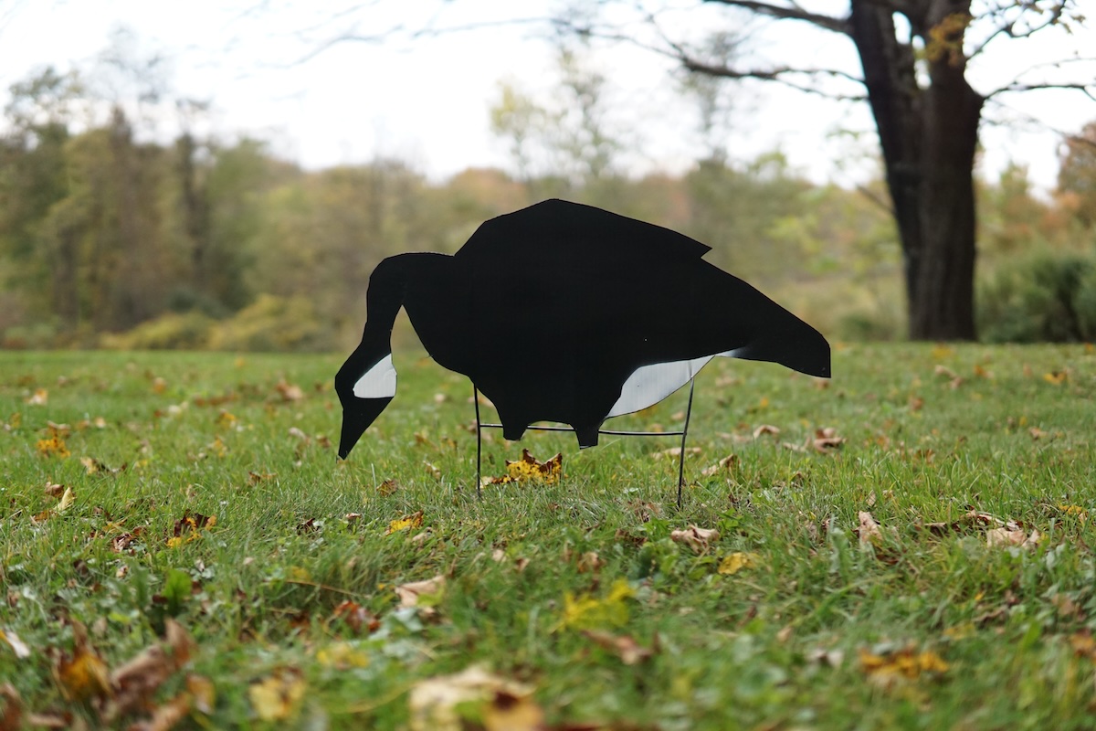 election sign goose silhouette 