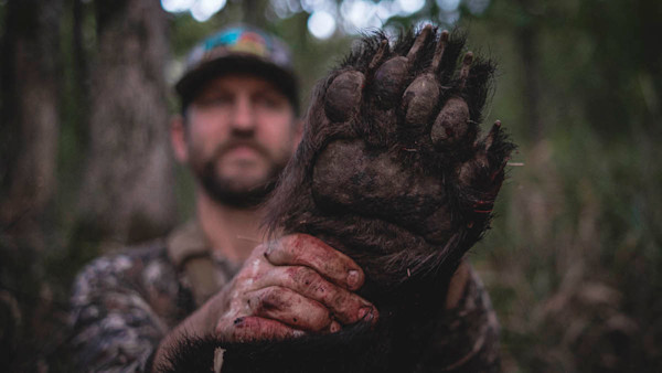 Wyoming Legislature Considers Large Carnivore Legislation