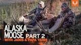 ALASKA MOOSE PART 2 WITH JANIS & PAPA YANIS — two hunters kneel beside a downed bull moose in tundra