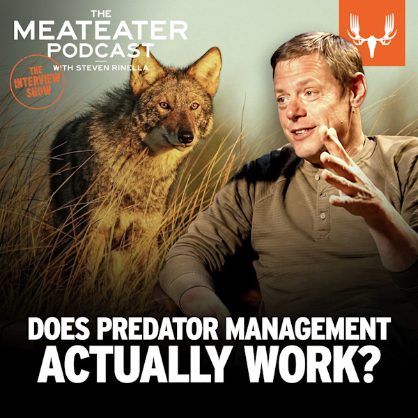 DOES PREDATOR MANAGEMENT ACTUALLY WORK? Meateater Podcast cover with Steven Rinella and coyote